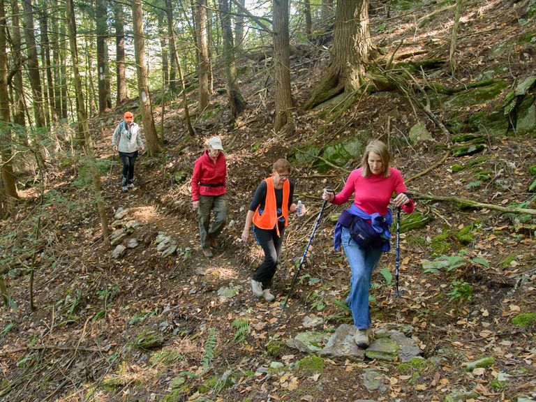 Four hikers in the woods navigating the Slate Valley trails Four hikers in the woods navigating the Slate Valley trails
