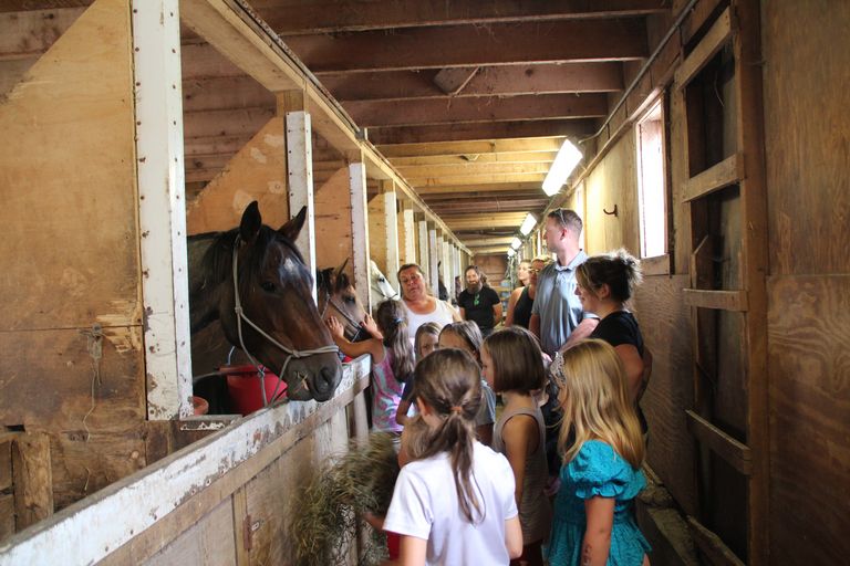 Children admiring the horses in the stable at Pond Hill Ranch Children admiring the horses in the stable at Pond Hill Ranch