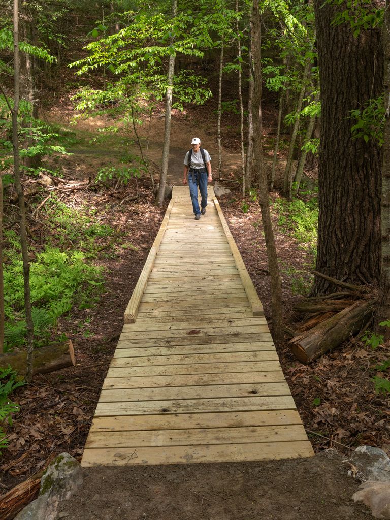 Hiker walking on wooden bridge in woods Hiker walking on wooden bridge in woods
